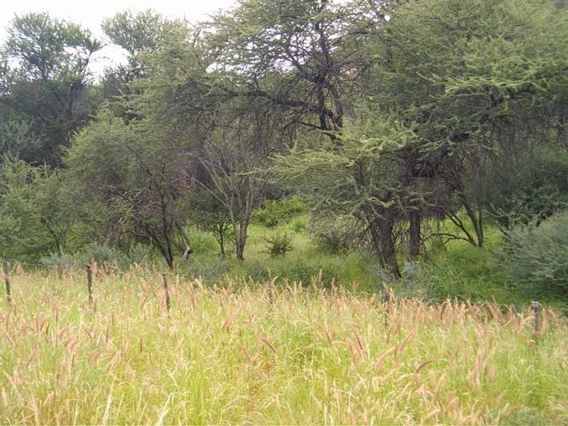 Plot for Sale Okahandja - Photo 5