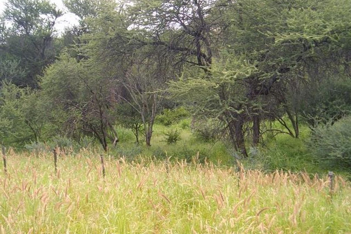 Plot for Sale Okahandja - Photo 5