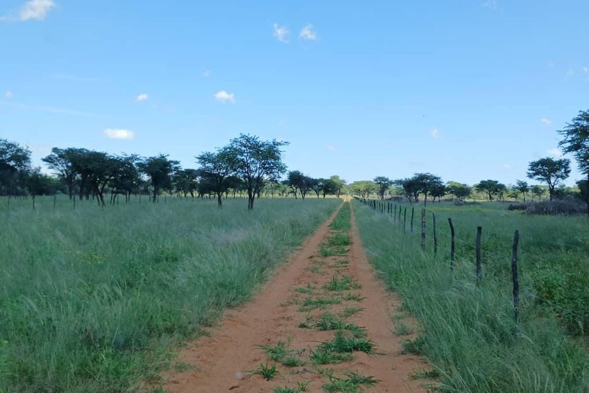 Beautiful Farm for sale in Namibia - Photo 4
