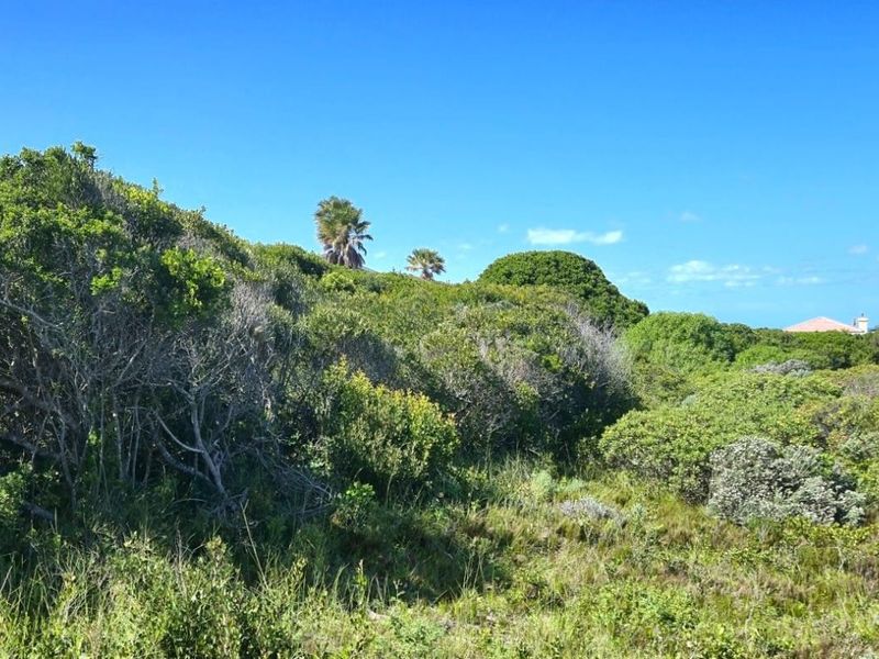 Plot-and-plan: Modern three-bedroom coastal home in Klipfonteyn I blending luxury, open-plan design, and nature’s tranquility. - Photo 4