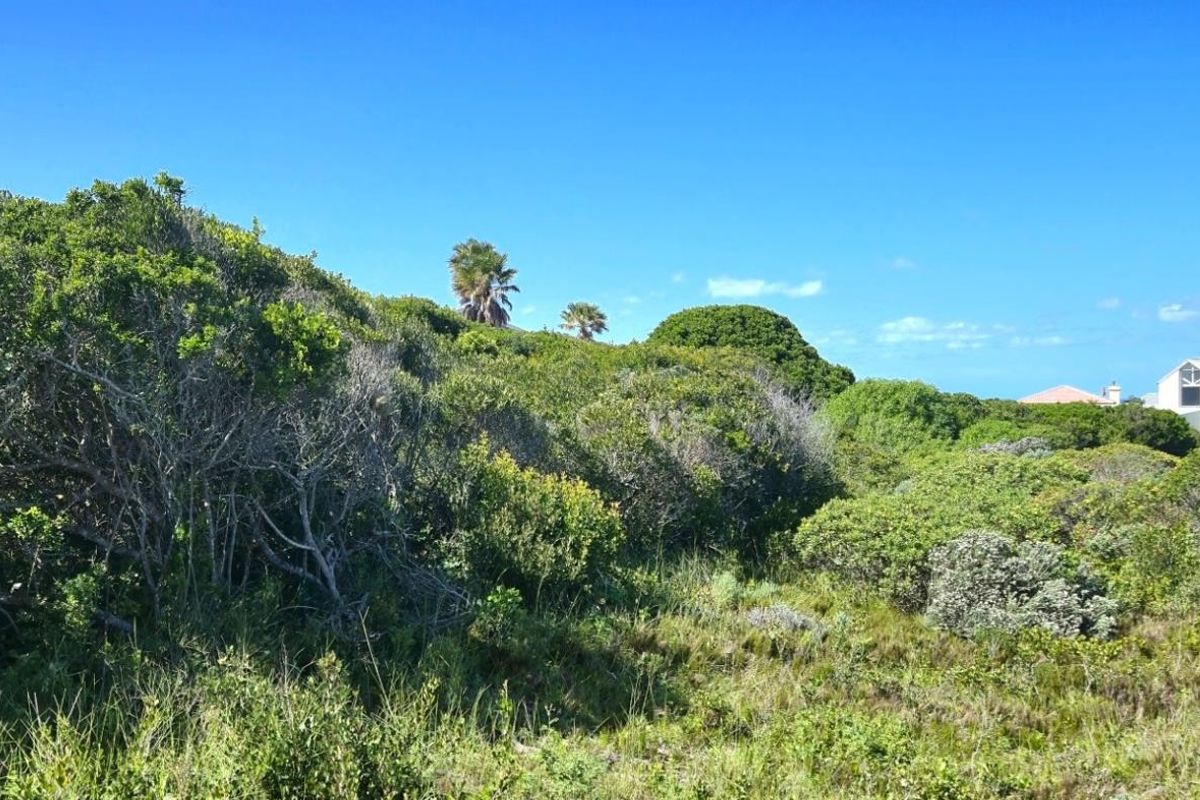 Plot-and-plan: Modern three-bedroom coastal home in Klipfonteyn I blending luxury, open-plan design, and nature’s tranquility. - Photo 4