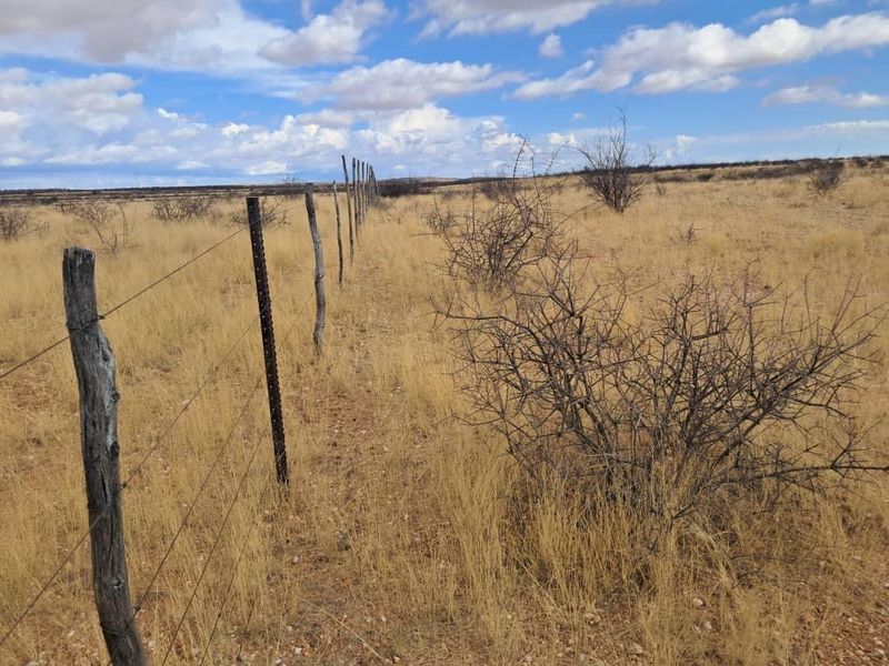 203 Ha farm - Photo 2