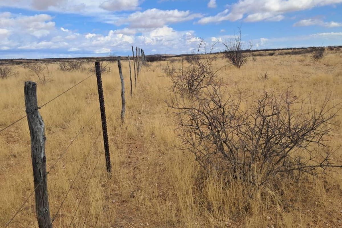 203 Ha farm - Photo 2