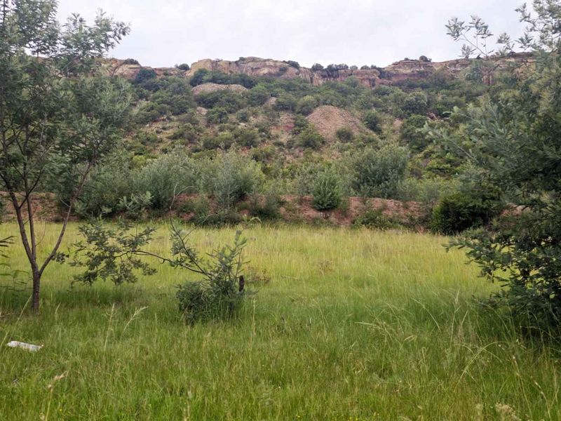 **Discover Your Future Home Site with Stunning Mountain Views** - Photo 7