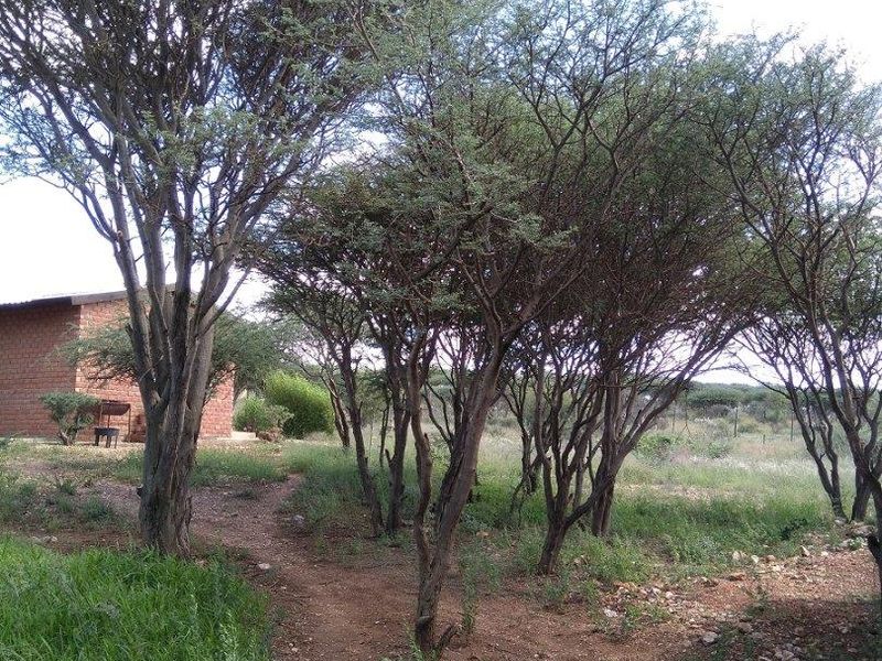 Scenic Vacant Land - Photo 7