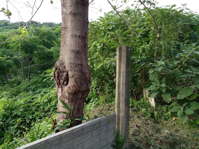 Vacant Land in Malvern - Photo 6