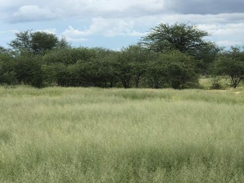 Large Game Farm close to the Erindi Game Reserve- 7900 HA - Photo 3