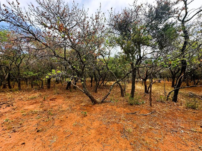 Vacant Stand for Sale in Kampersrus - Photo 2