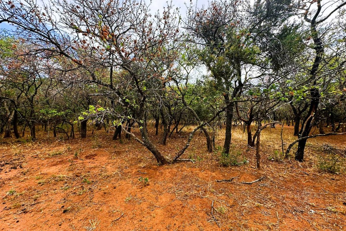 Vacant Stand for Sale in Kampersrus - Photo 2