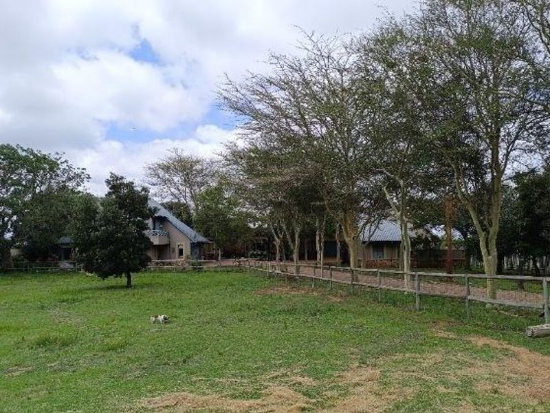 MIDRAND -  COUNTRY EQUESTRIAN ESTATE - 7 BEDROOMS - 6.5 BATHROOMS - Photo 5