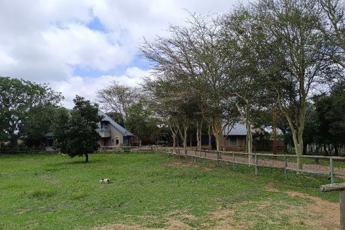 MIDRAND -  COUNTRY EQUESTRIAN ESTATE - 7 BEDROOMS - 6.5 BATHROOMS - Photo 5