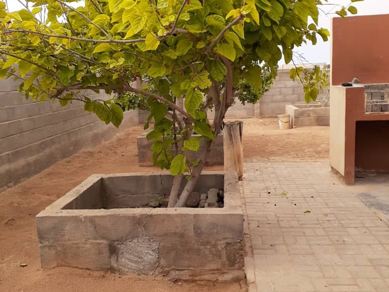 BUSINESS OPPORTUNITY WITH FLATLET FOR SALE IN HENTIES BAY – NAMIBIA - Photo 5