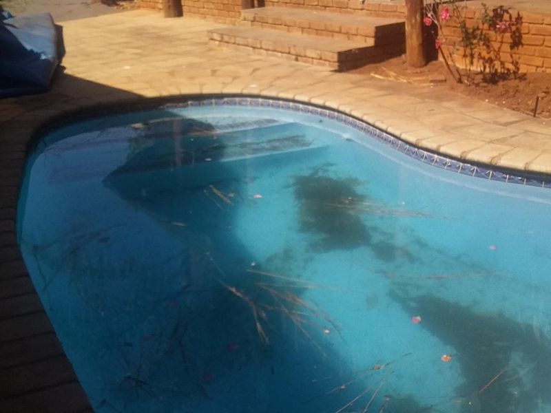 Outdoor swimming pool area featuring brick paving, concrete steps, and a brick retaining wall, requiring maintenance and cleaning.