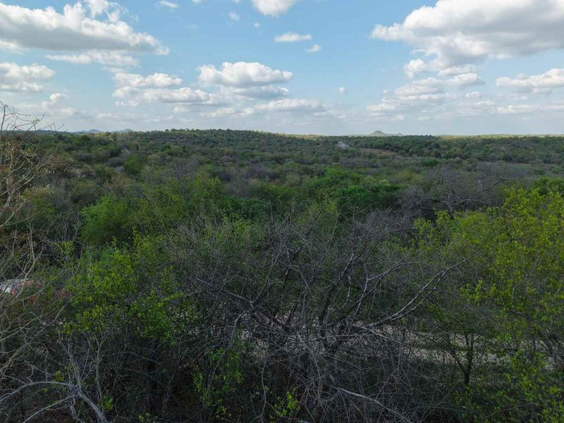 An elevated view overlooking a vast, densely wooded landscape under a clear blue sky.