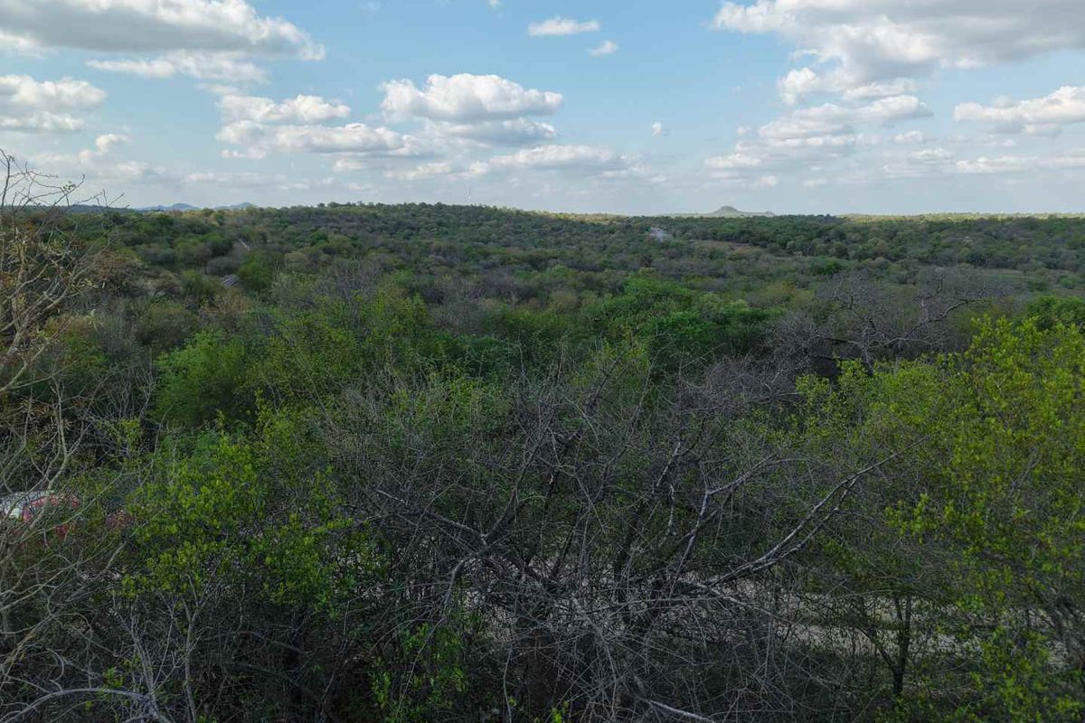 An elevated view overlooking a vast, densely wooded landscape under a clear blue sky.