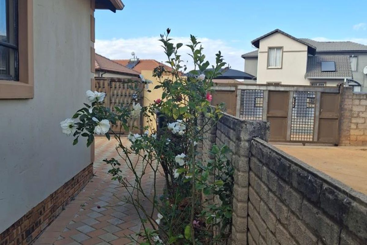 A side pathway featuring paved brick flooring, a boundary wall, and access to the rear yard area.