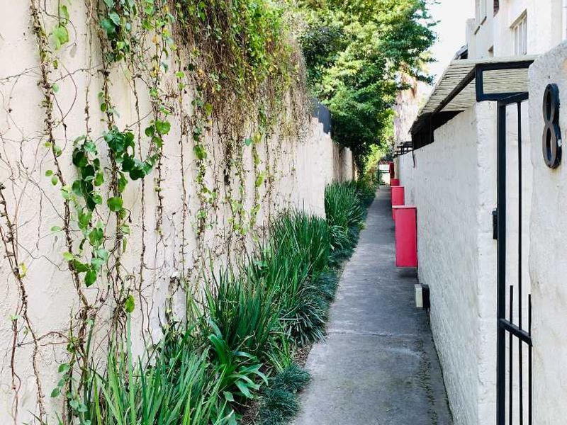 A narrow concrete side pathway bordered by a high boundary wall with climbing vegetation and a landscaped garden bed.