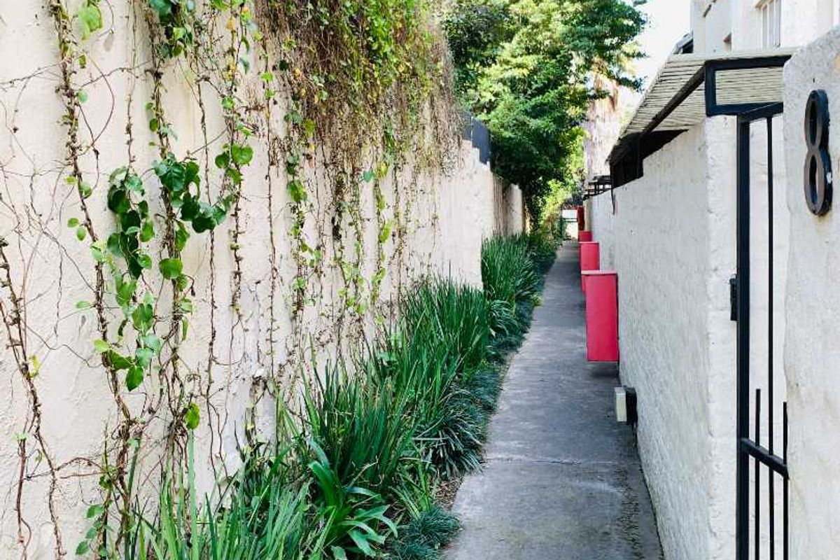 A narrow concrete side pathway bordered by a high boundary wall with climbing vegetation and a landscaped garden bed.