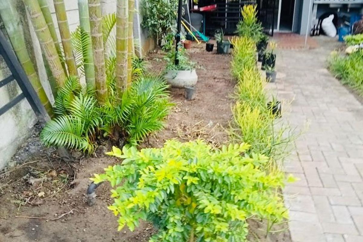 A rear garden area featuring a paved walkway, established palm trees, and a covered patio entrance to the apartment.