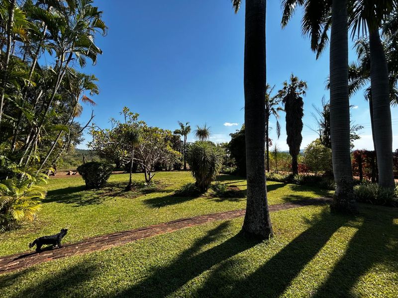 OFFERS WELCOME! Frost-Free Farm: Perfect for Farming, Lifestyle or Business Ventures - Photo 6