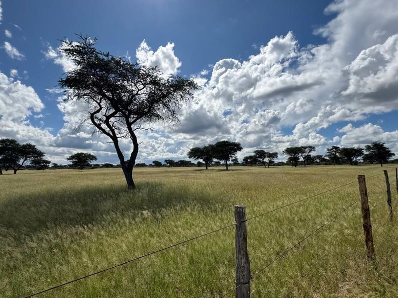 This impressive 4,100-hectare farm, strategically divided into 22 well-equipped camps, offers an exceptional opportunity for serious farming and investment. - Photo 10