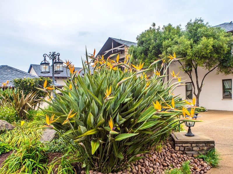 Waterfall Equestrian Estate | Off-Grid Luxury - Photo 9