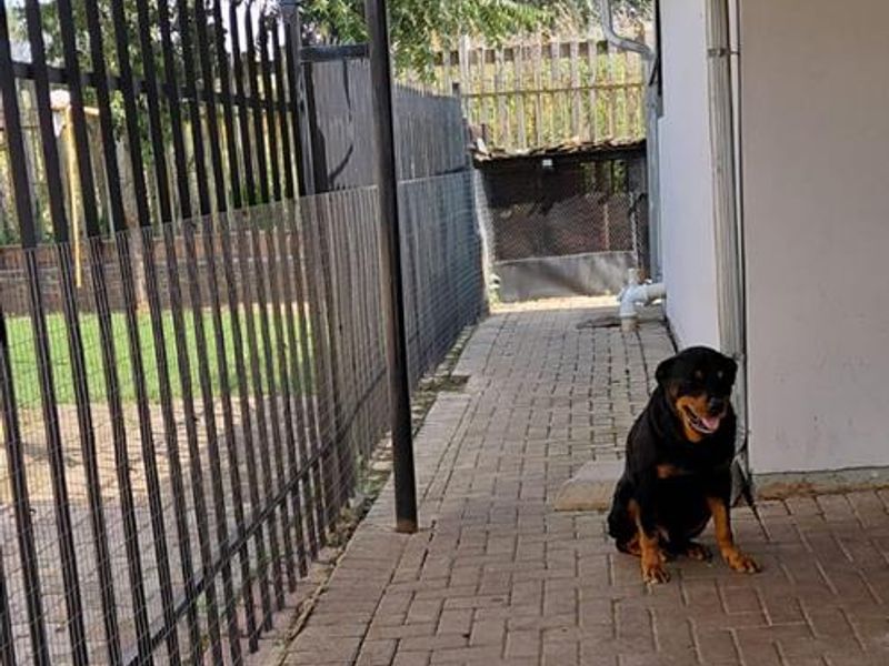 Not to be missed - Photo 4