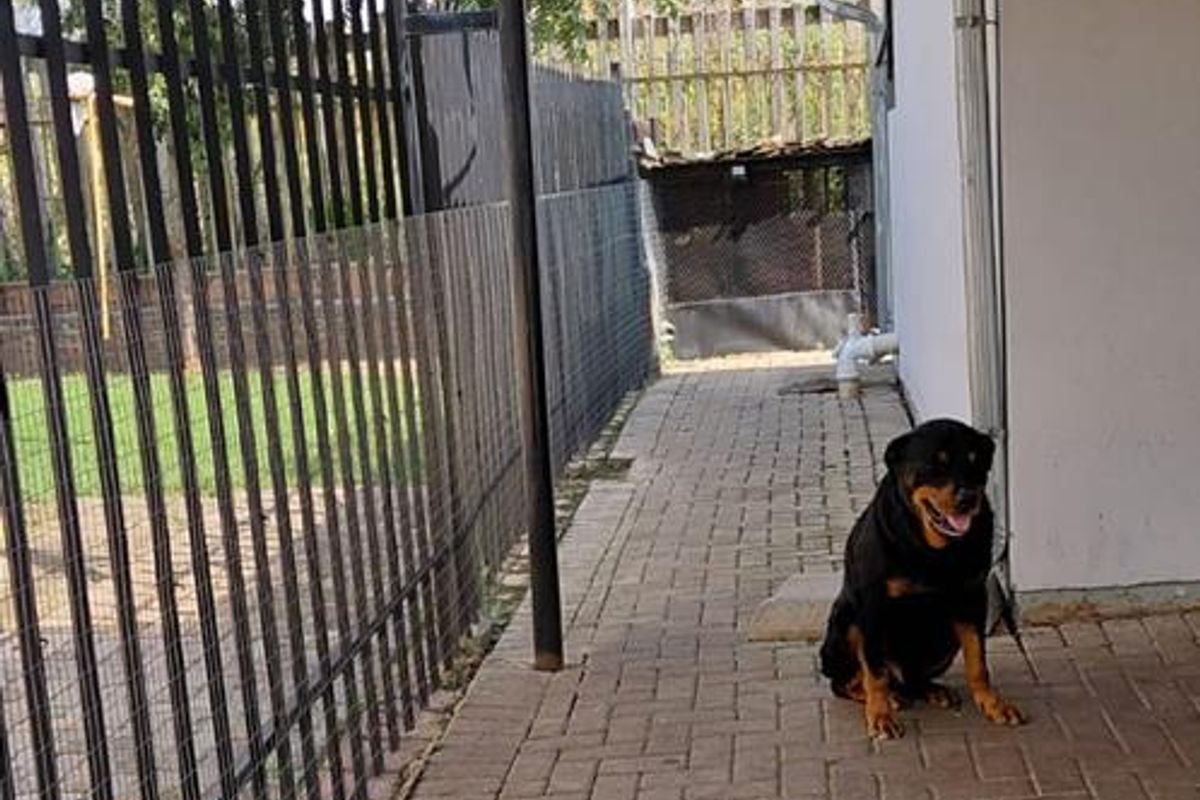 Not to be missed - Photo 4