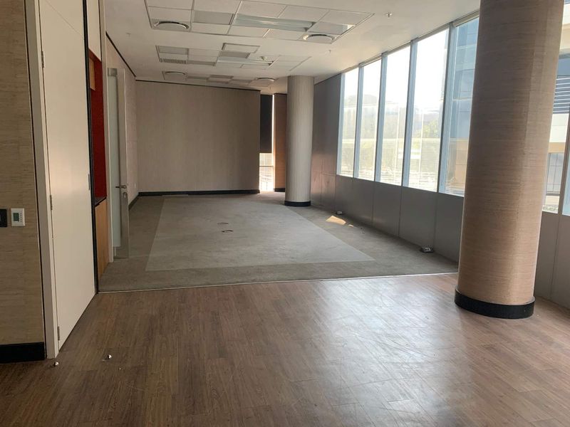 Spacious open-plan office area featuring large floor-to-ceiling windows, a mix of carpet and laminate flooring, and a suspended ceiling.