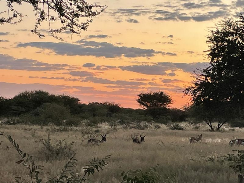 A 700 hectare farm just outside Outjo, where the bushveld opens into wide plains and clear skies, lies a well-developed farm — Ideal for irrigation & small stoc - Photo 9