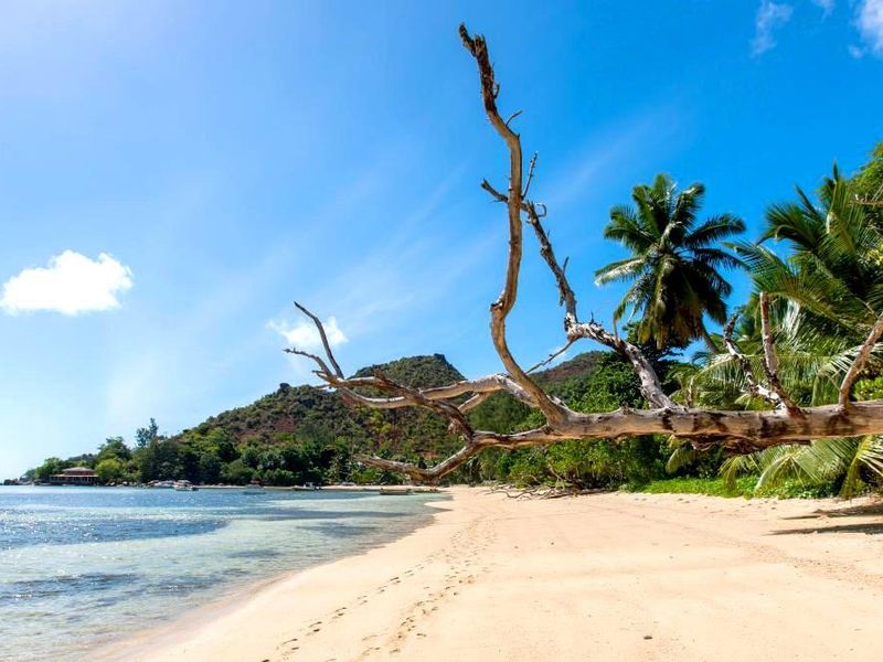 A Slice of Paradise - Grand Anse, Praslin - Photo 6