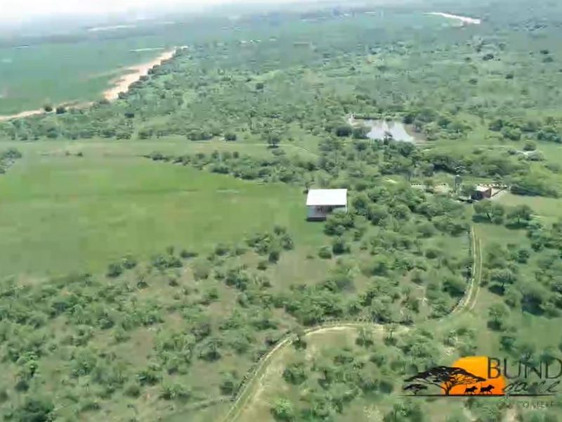 Game Range close to town - Photo 8