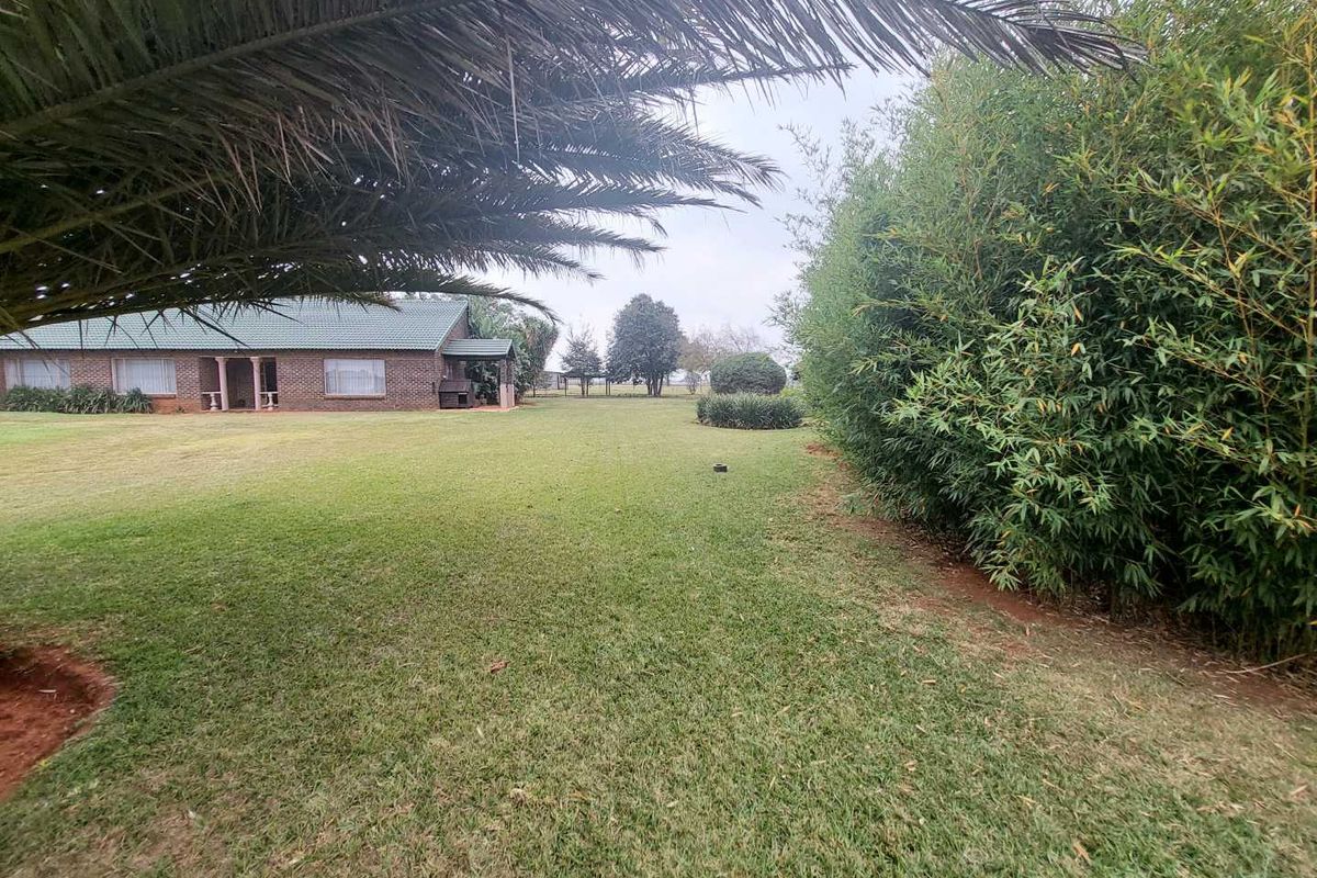 Country Living. City Flair - Photo 2