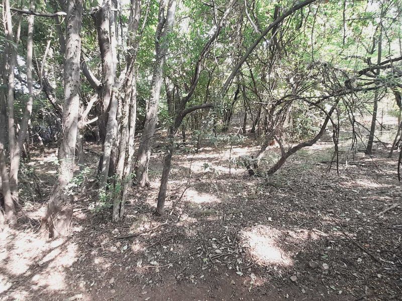 Craft Your Vision on Hartbeespoort's Exclusive Waterfront! - Photo 7