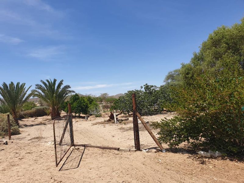 Plot with fruit trees for sale - Usakos - Photo 6