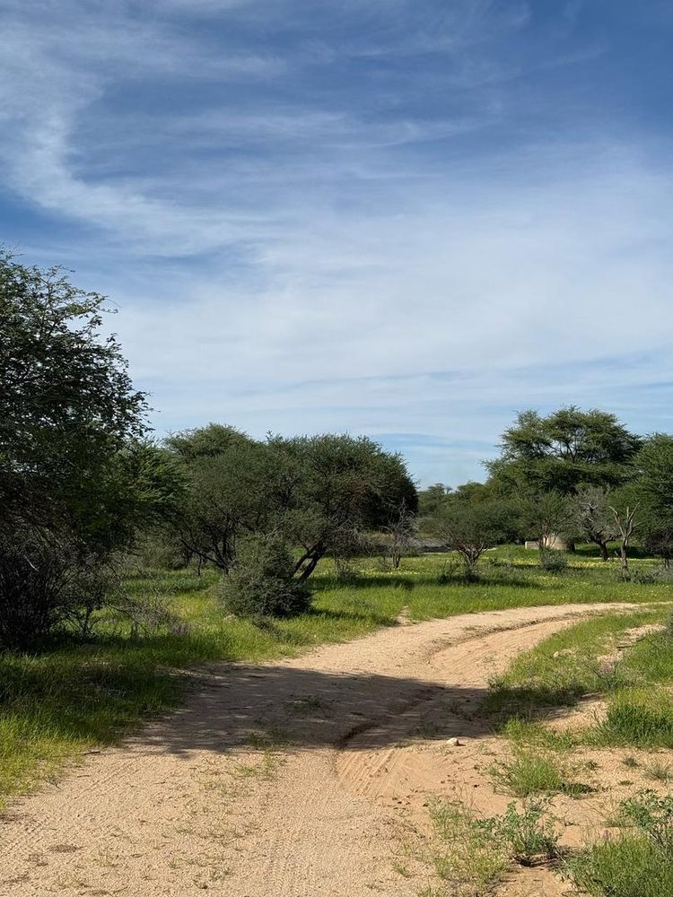 View of the field on the Farm
