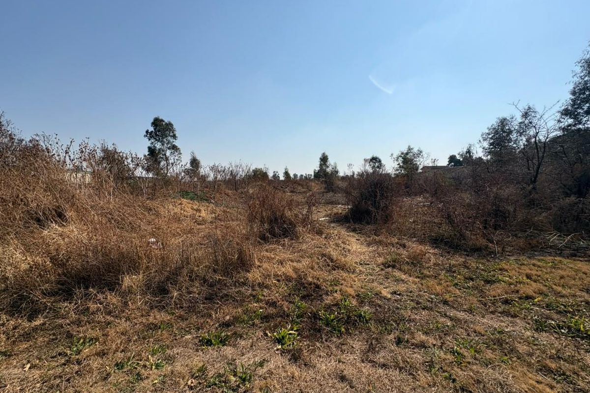 An undeveloped commercial vacant land plot featuring natural vegetation and dry grass, suitable for future development.