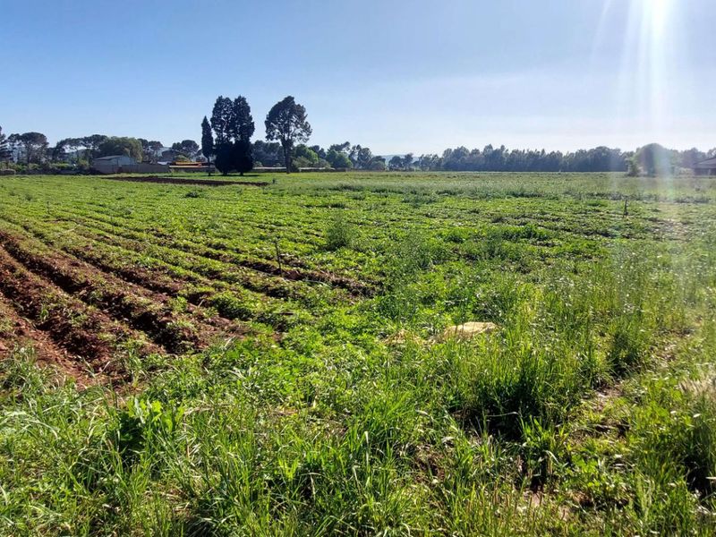 A wide-angle view of a large, open agricultural field with cultivated rows and surrounding natural vegetation on a farm property.