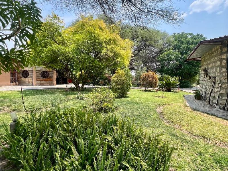 A well-maintained garden area featuring mature trees, lush greenery, and a stone-clad building exterior with a paved walkway.