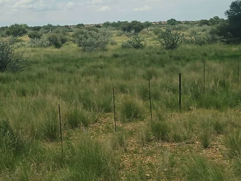 FOR SALE - FARM IN STAMPRIET, MARIENTAL AREA, NAMIBIA - Photo 9