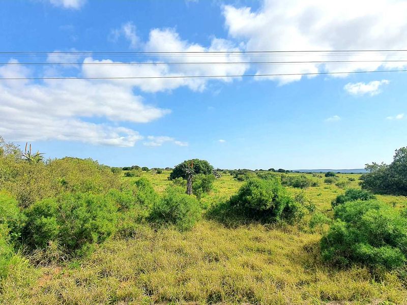 LIFESTYLE FARM FOR SALE - Photo 4