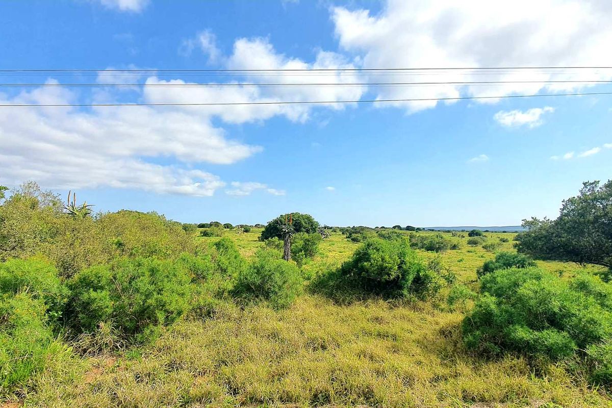 LIFESTYLE FARM FOR SALE - Photo 4