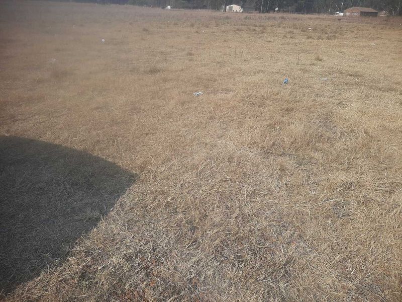 1Ha small holding for farm produce and a contry living - Photo 9