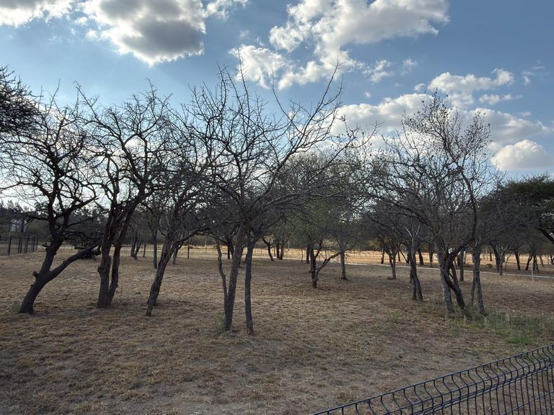 A view of a vacant commercial land plot featuring mature trees and perimeter wire mesh fencing.