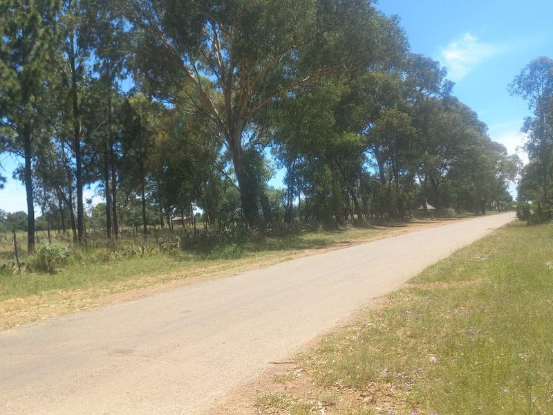 Build Your Dream Home/Business on Expansive Land in Walkerville - Photo 5