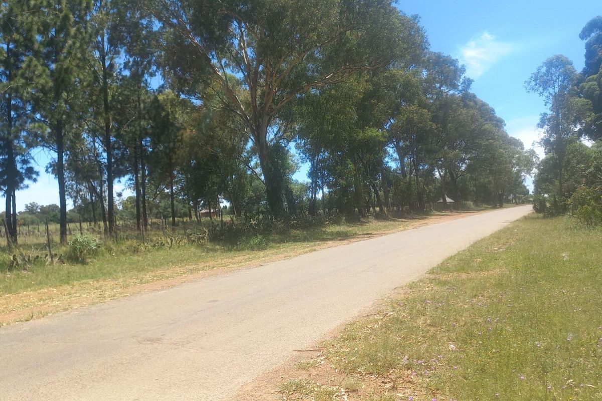 Build Your Dream Home/Business on Expansive Land in Walkerville - Photo 5
