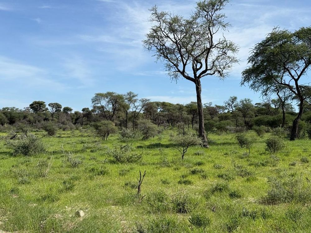 View of the field on the Farm
