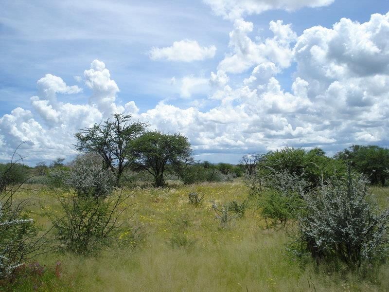 Woodlands Wildlife Estate - Photo 6