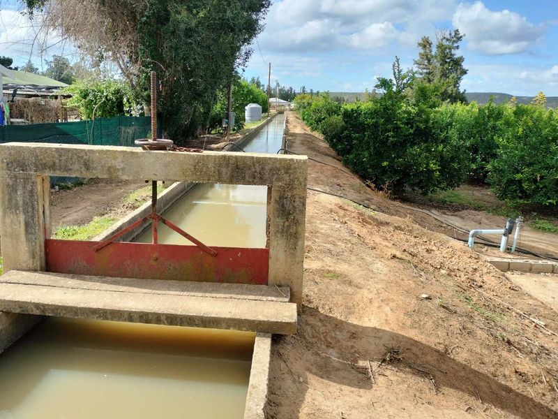 Sunland - 6.99 ha Citrus - Farm for sale - 2 Houses - Photo 6