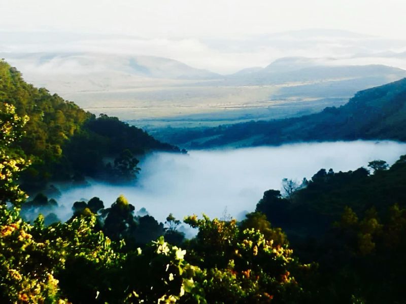 Farm for sale in Louwsburg - Photo 2